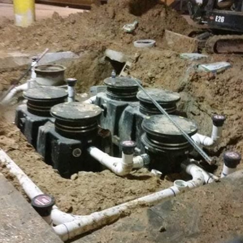 56173190_401760517284566_1813615619375890432_n